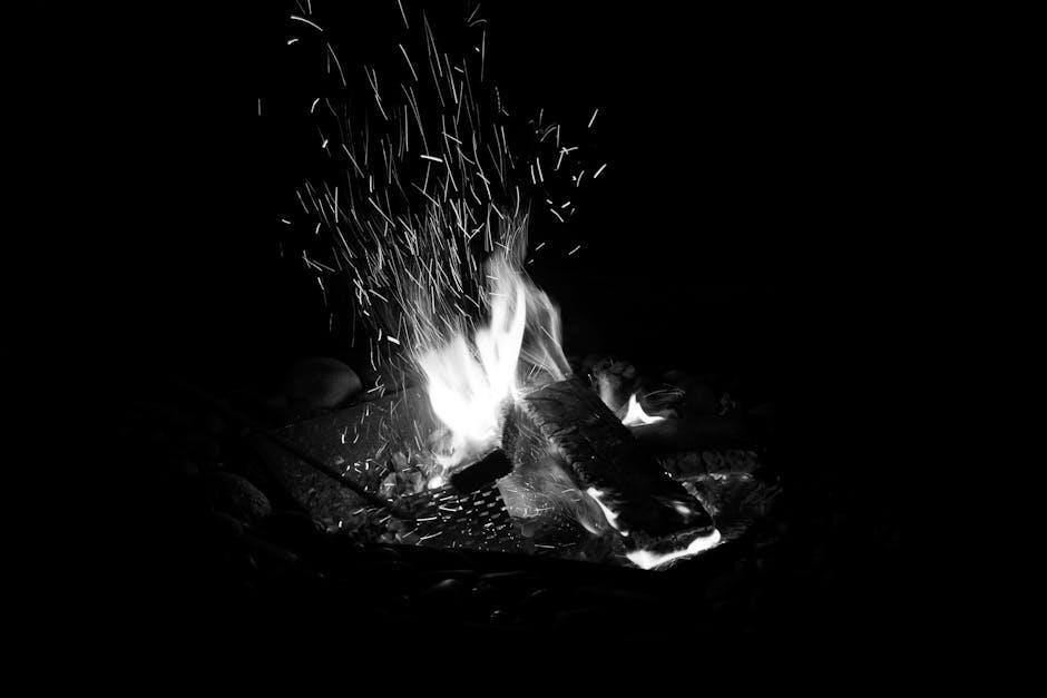 turbo 10 burning log manual