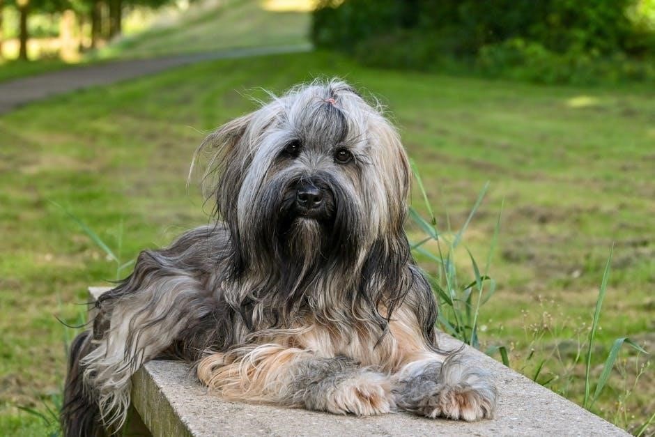 salvatore ferragamo belt size guide